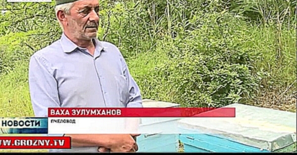 Ваха Зулумханов уже 15 лет занимается пчеловодством 