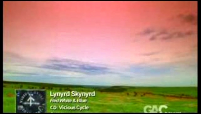 Lynyrd Skynyrd - Red White & Blue 