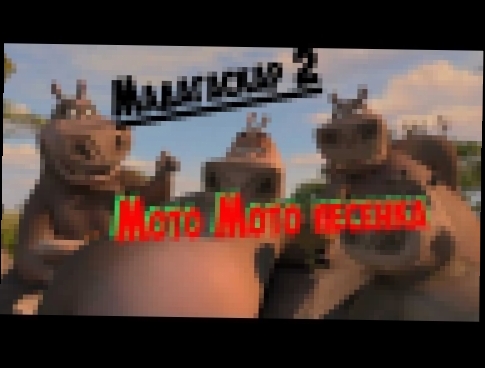 Мадагаскар "Мото-Мото" с именем проха HD 1080p 