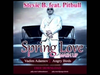 Stevie B. feat. Pitbull - Spring Love (Vadim Adamov & Angry Birds Mash Up) 
