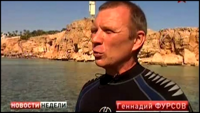 В Красном море акула напала на российских туристов  