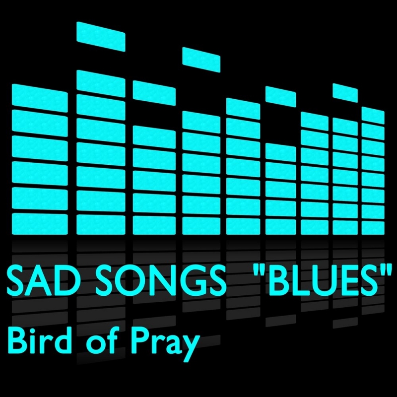 Bird of Pray - Another World From Chrono Cross