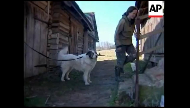 A woman who's lived with wolves for three years 