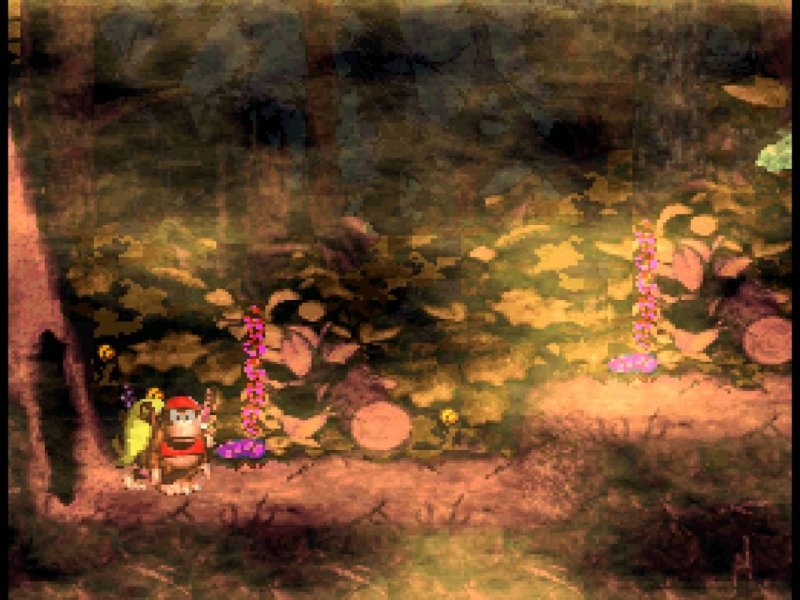 Donkey Kong Country 2 - Forest Interlude