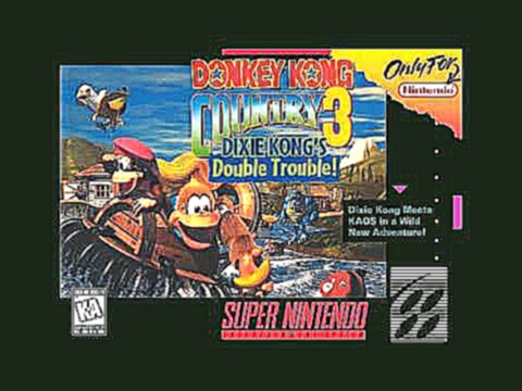 Donkey Kong Country 3 Soundtrack: Life Lost Village (1080p) 