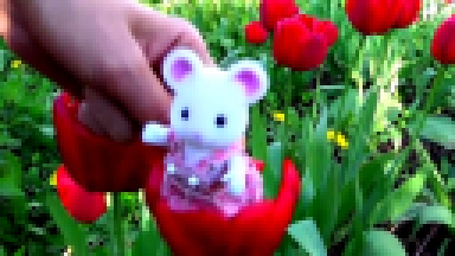 Мышки и Ёжик Sylvanian Families играют в саду. Мультики с игрушками для детей 