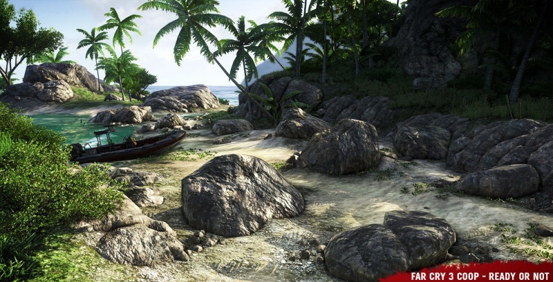 Far Cry 3 Coop