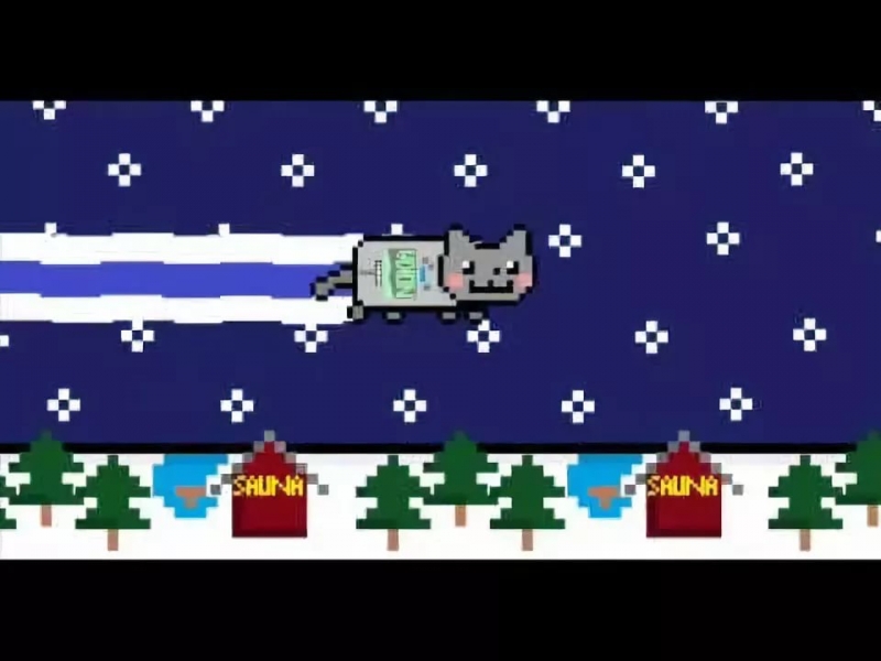 Finnish Nyan Cat