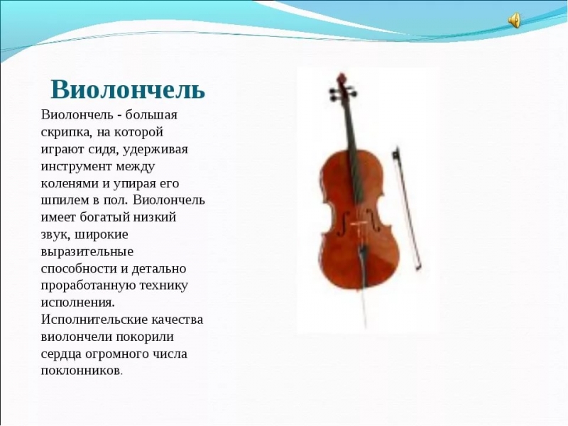 Главная тема виоланчель