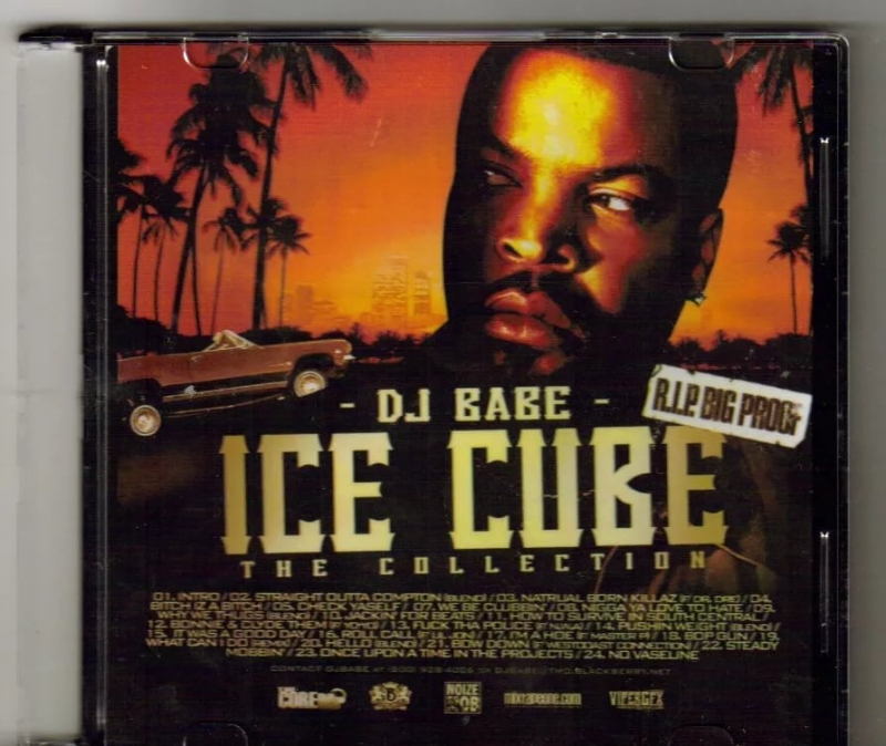Ice Cube - How To Survive In South Central Vinyl