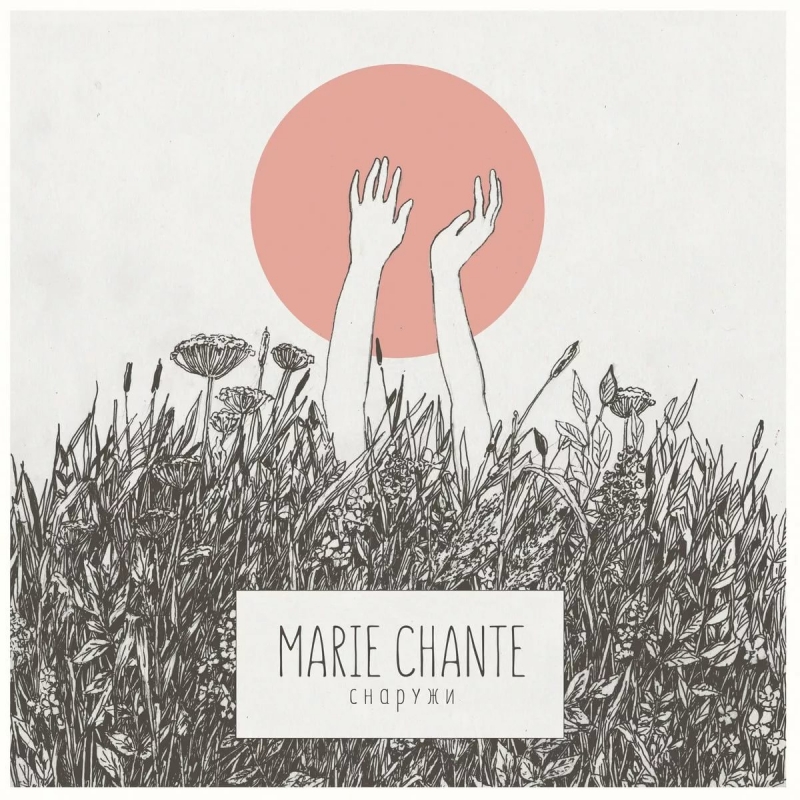 Marie Chante - Детективное агентство "Лунный Свет"