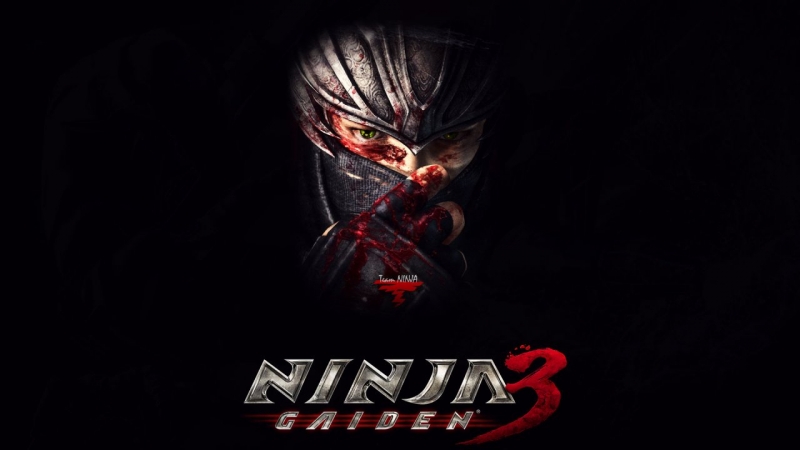 Ninja Gaiden - Vanished Memories