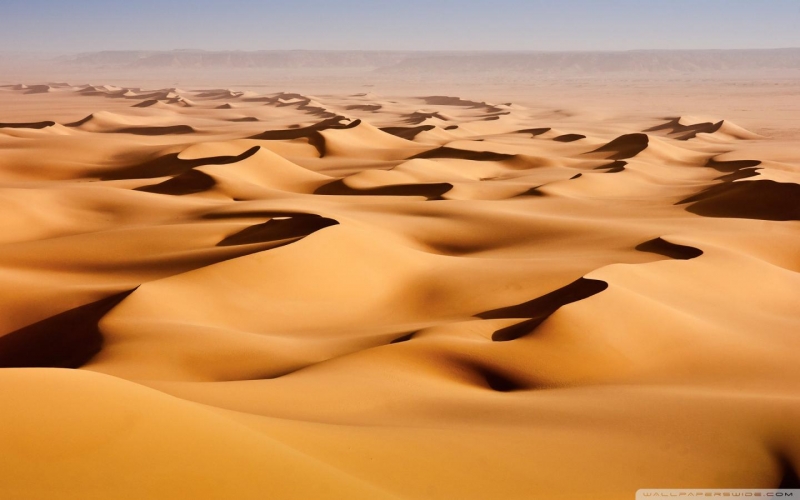 Зыбкие дюны пустыни