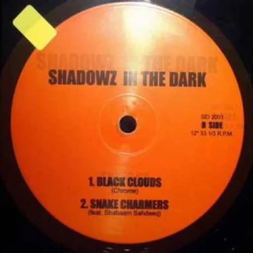 Shadowz In Da Dark