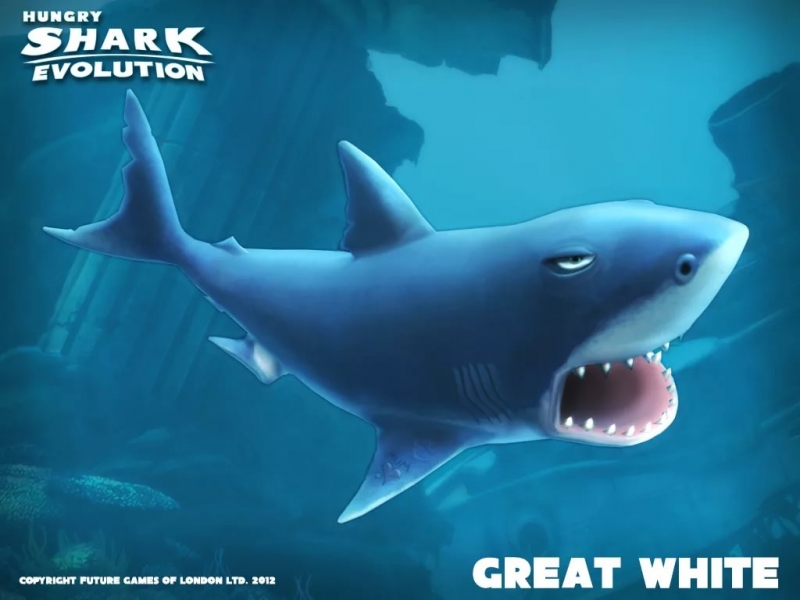shark_evolution - shark_