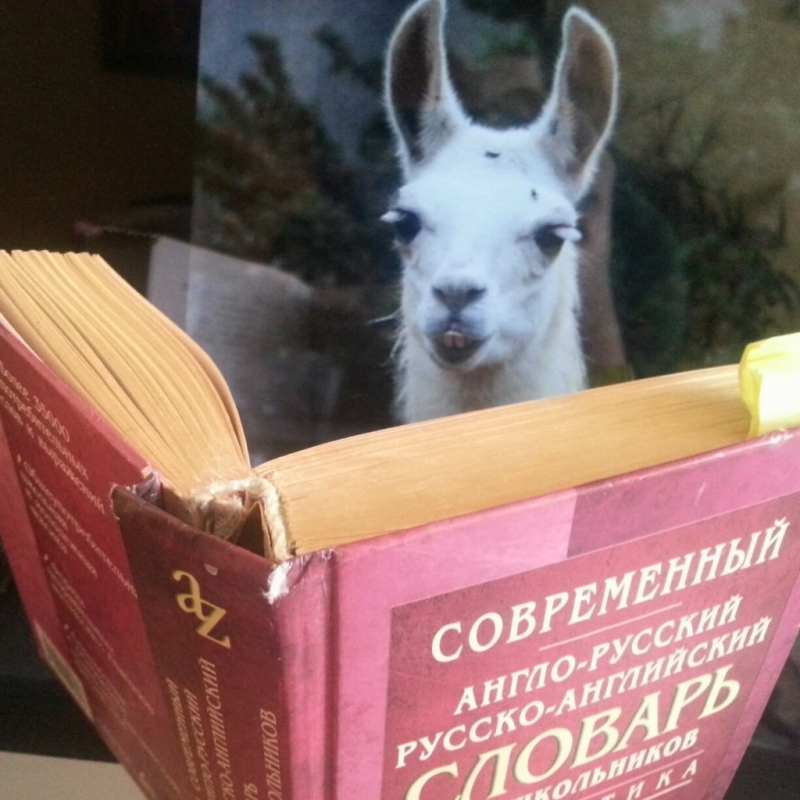 Англо-русский словарь Давай, Лама