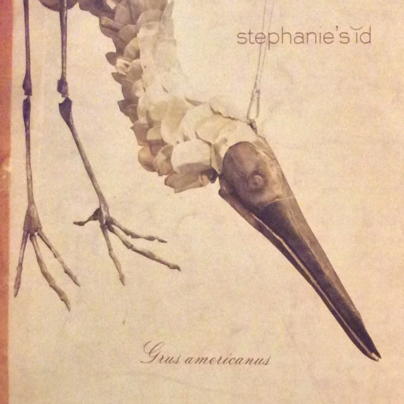 Stephaniesid - Hey Hey Hey (It's Gonna Be Ok)