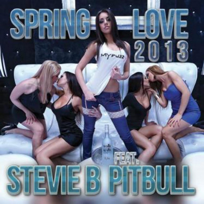 Stevie B. feat. Pitbull - Spring Love Vadim Adamov & Angry Birds Mash Up