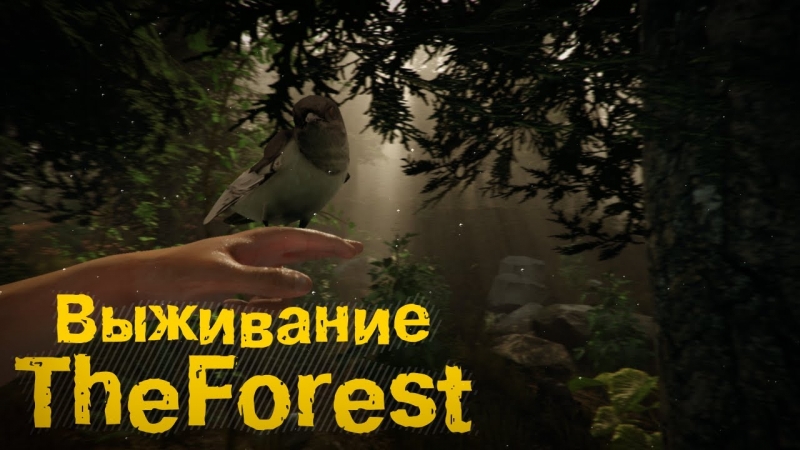 Музыка из плеера в игре The Forest 1