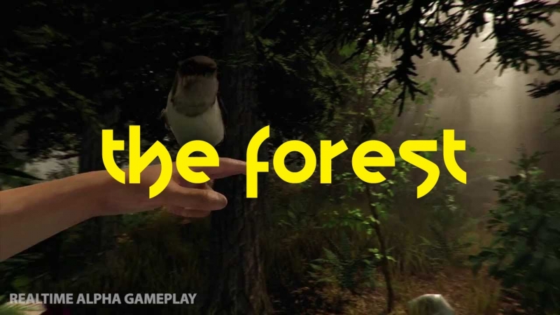 The Forest 2014 - Музыка из плеера в игре The Forest 4