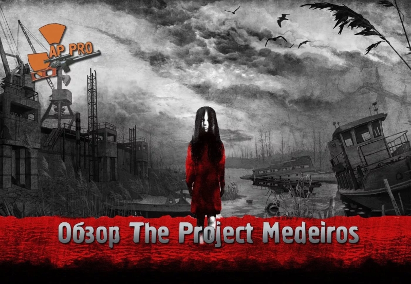 The project medeiros