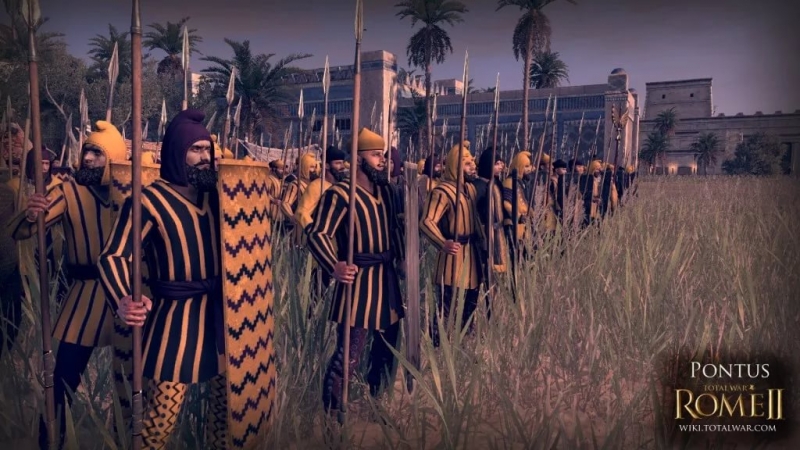 Total war  Rome II - They must be punished