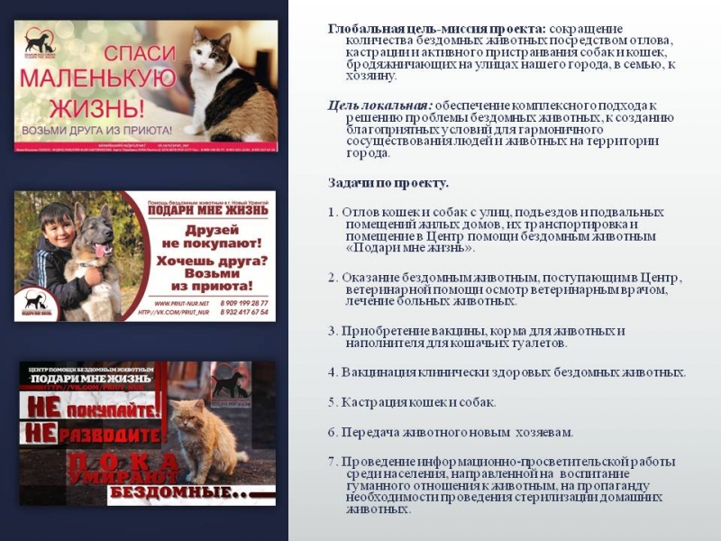 Владимир Шигуров на "Радио Мордовии" - Выставка в поддержку создания приюта для бездомных животных