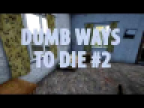 Dumb Ways To Die #2 - DayZ-SA 