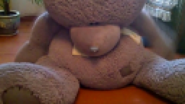 Teddy Bear, My Teddy Bear 