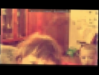 «Webcam Toy» под музыку DJ Sandro Escobar &amp;amp; DJ Max Payne feat. Katrin Queen - My Feelings (Radio Mix). Picrolla 