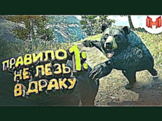 Mr. Marmok Far Cry 4 “Баги, Приколы, Фейлы“ 