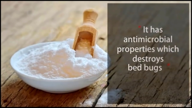 How To Get Rid of Bed Bugs With Baking Soda Completely and Permanently 