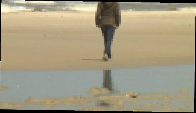 Henne Strand: Giftige Gefahr im Sand 