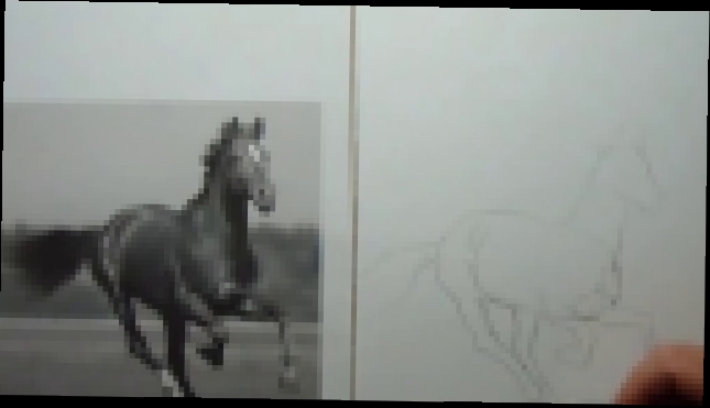 Как нарисовать лошадь карандашом поэтапно! 
