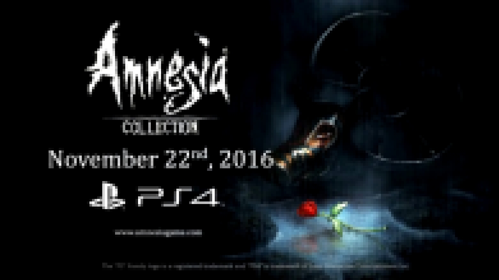 Amnesia: Collection: Дебютное видео 