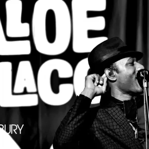Aloe Blacc - I Need a Dollar МинусFight Night Champion