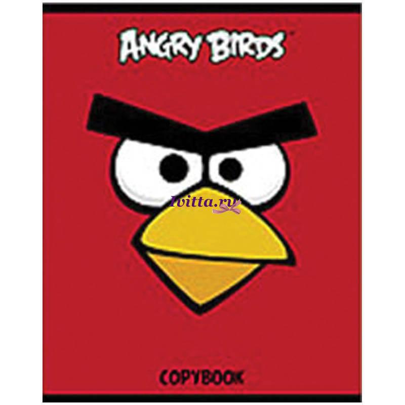 Angry Birds - Rio  Goldshine violin cover