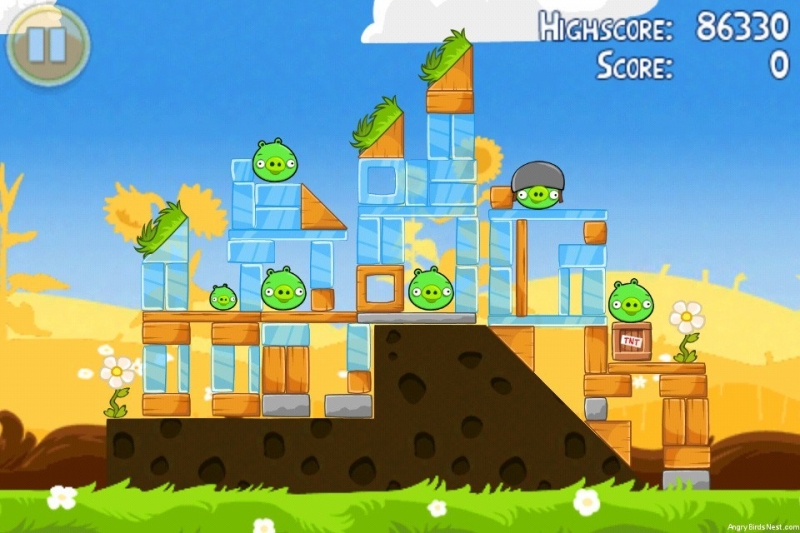 Angry Birds Seasons - Summer Pignic Theme