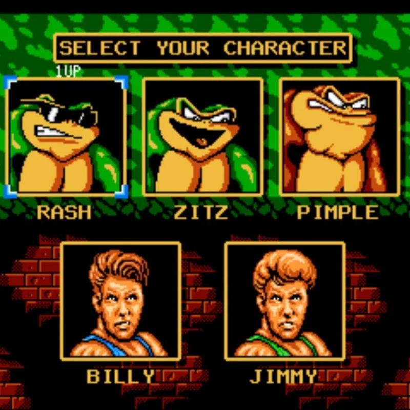 Battletoads and Double Dragon The Ultimate Team - 01 Title Screen