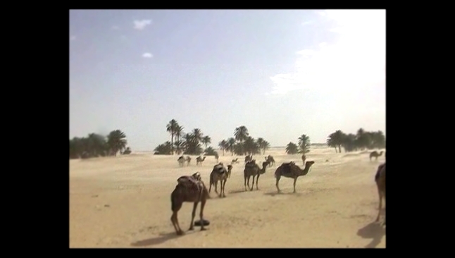 Сахара. Тунис 