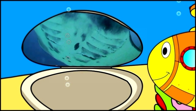 Развивающий мультфильм про подводную лодку.  Знакомимся с обитателями моря (Часть 1) 