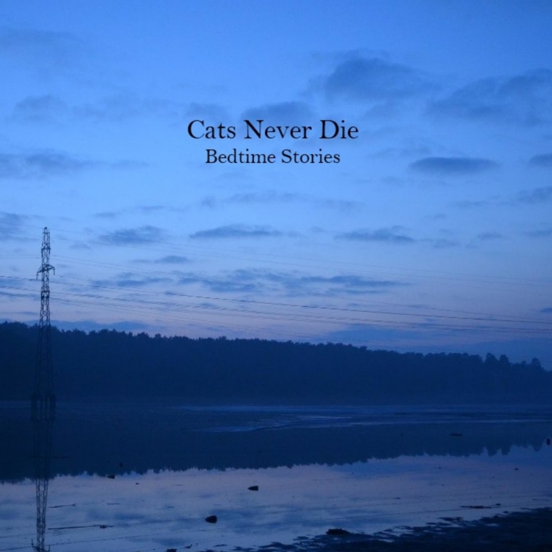 Cats Never Die