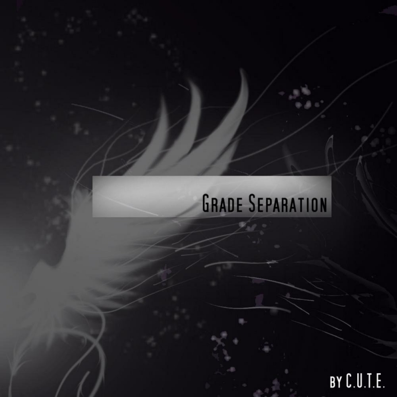 Grade Seperation