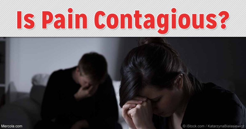 Contagion - Pain