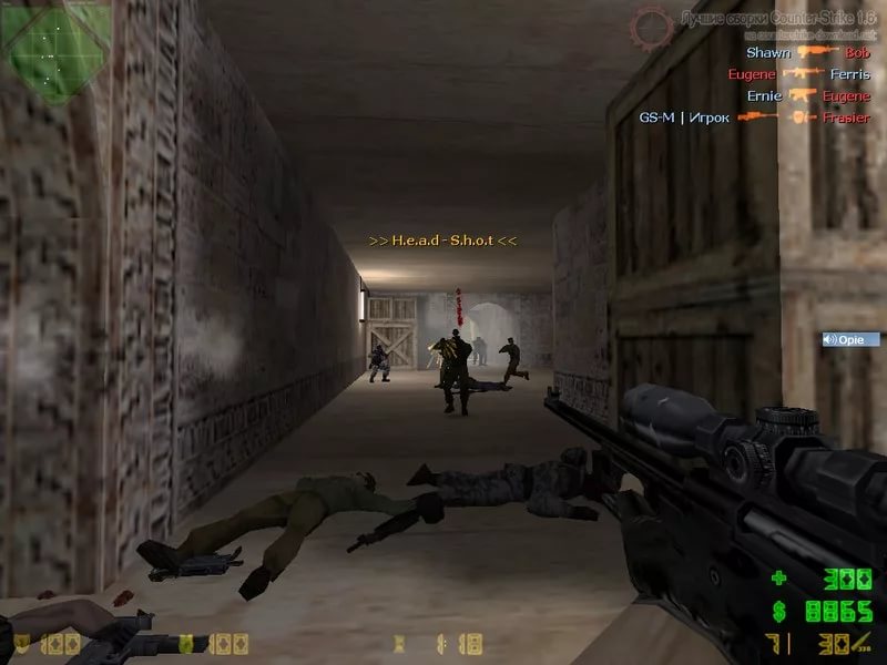 Counter - Strike 1.6 [ms-13] - HeadShot