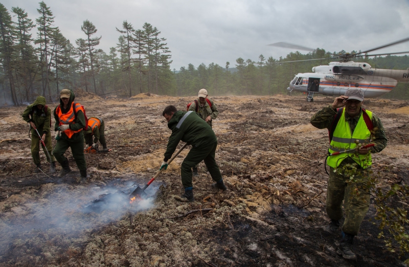 Дальнобойщики - Лесные пожары на севере России