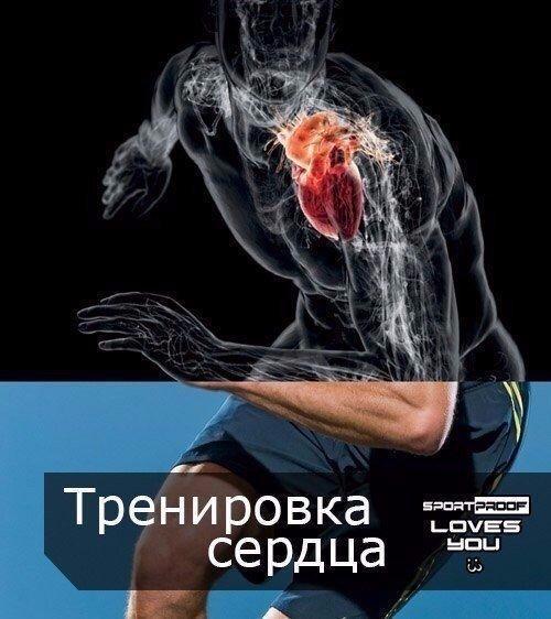 Денис Борисов - О компьютерных играх вып.24