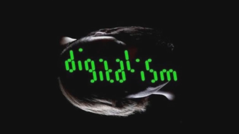 Digitalism - Idealistic Original Mix [OST Saints Row The Third]