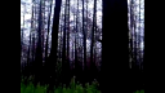 Marcin 'Cedyn' Czartynski - Forest (Painkiller game soundtrack) 