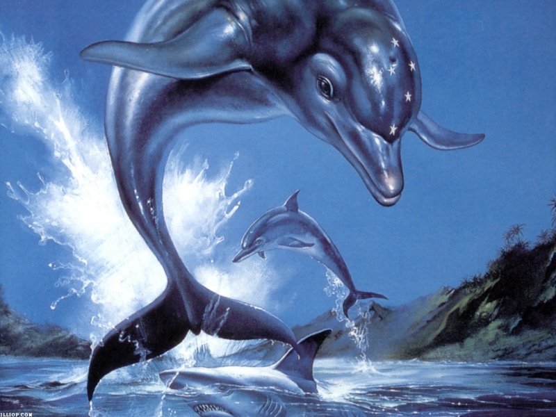 Ecco The Dolphin [M.Andras, B.Coburn, S.Nilsen ] - Unused Sound Test 18 [lion_games_]